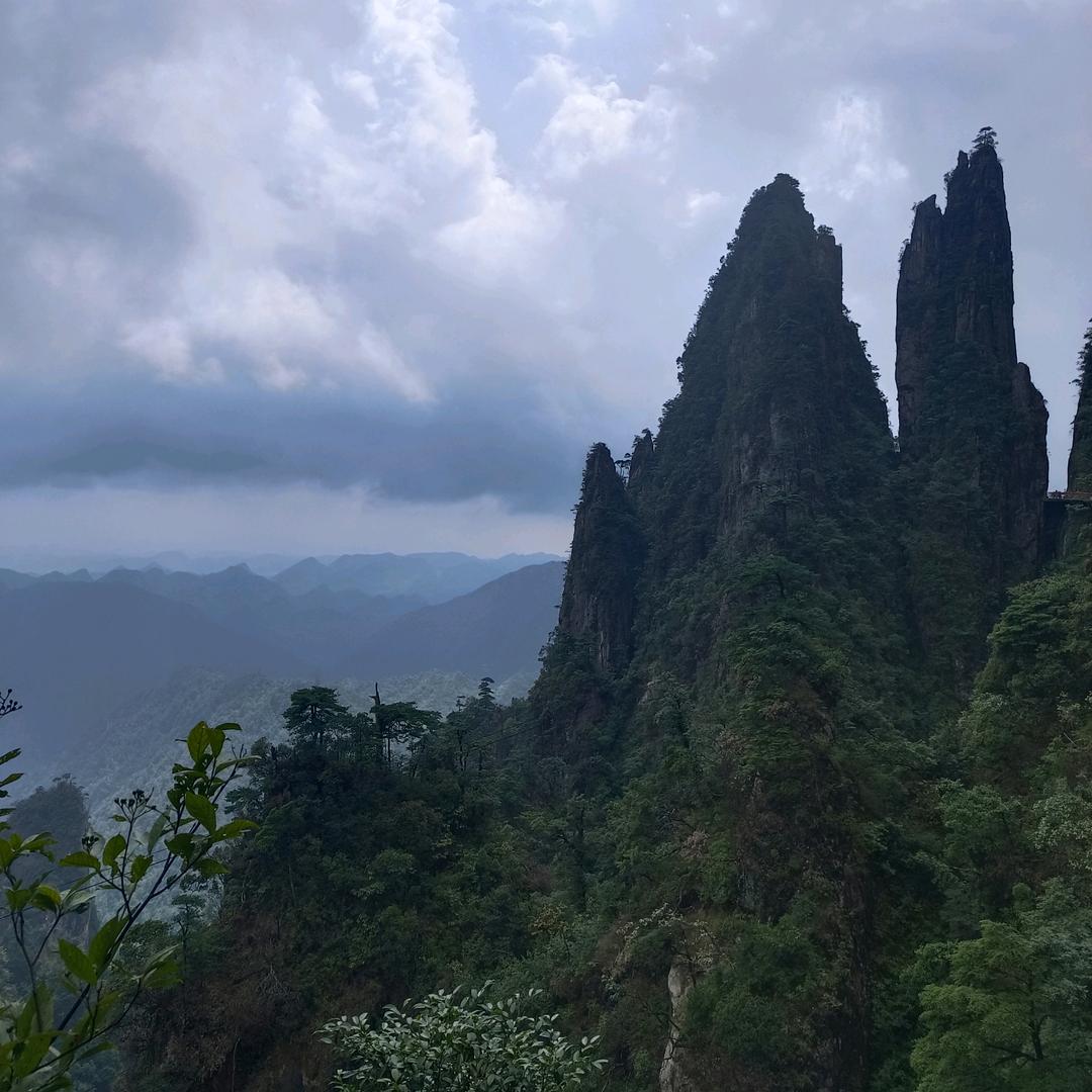 妖妖林