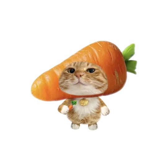 从明天开始早睡