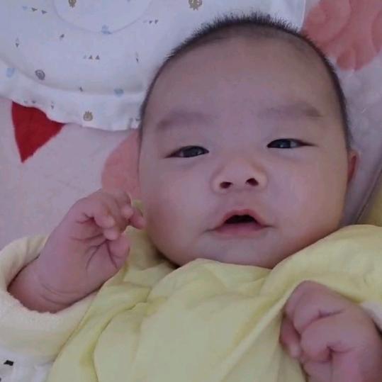 💞小福星泽哥