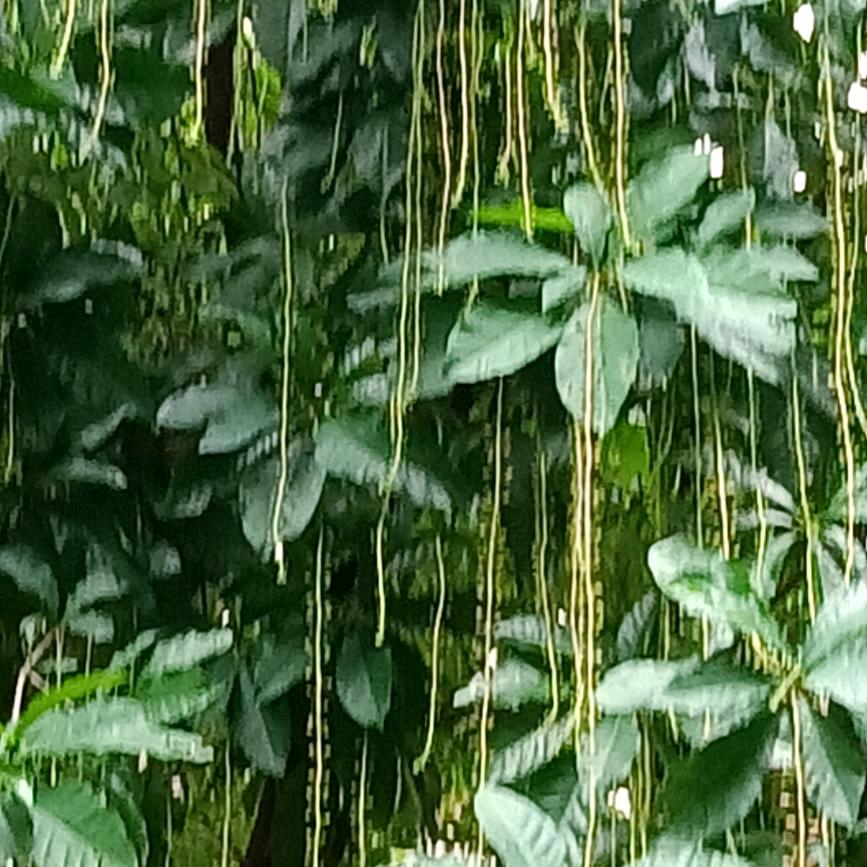 自由自在过好每一天