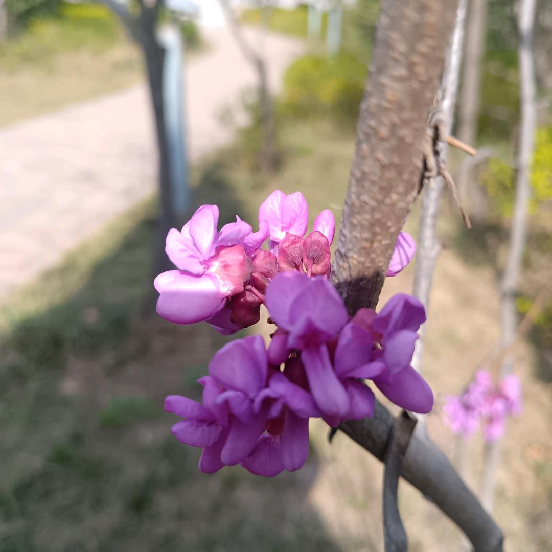 快乐温暖的阳光