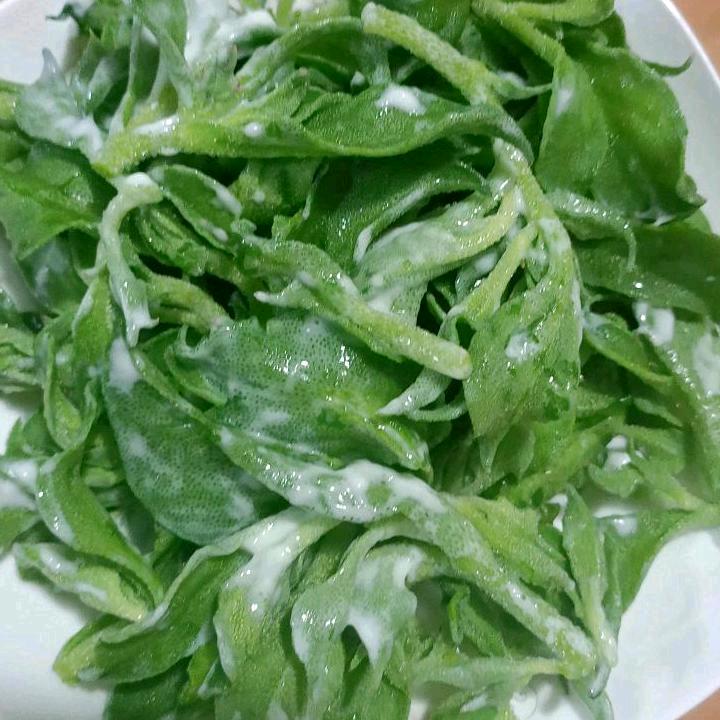 🌻碧草青青🌿