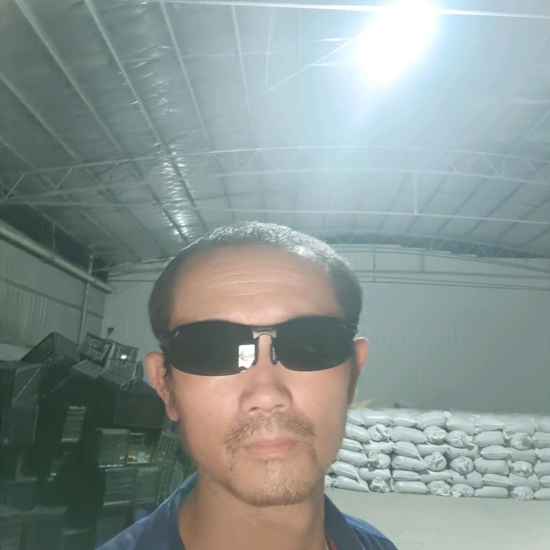 1667205616 9
