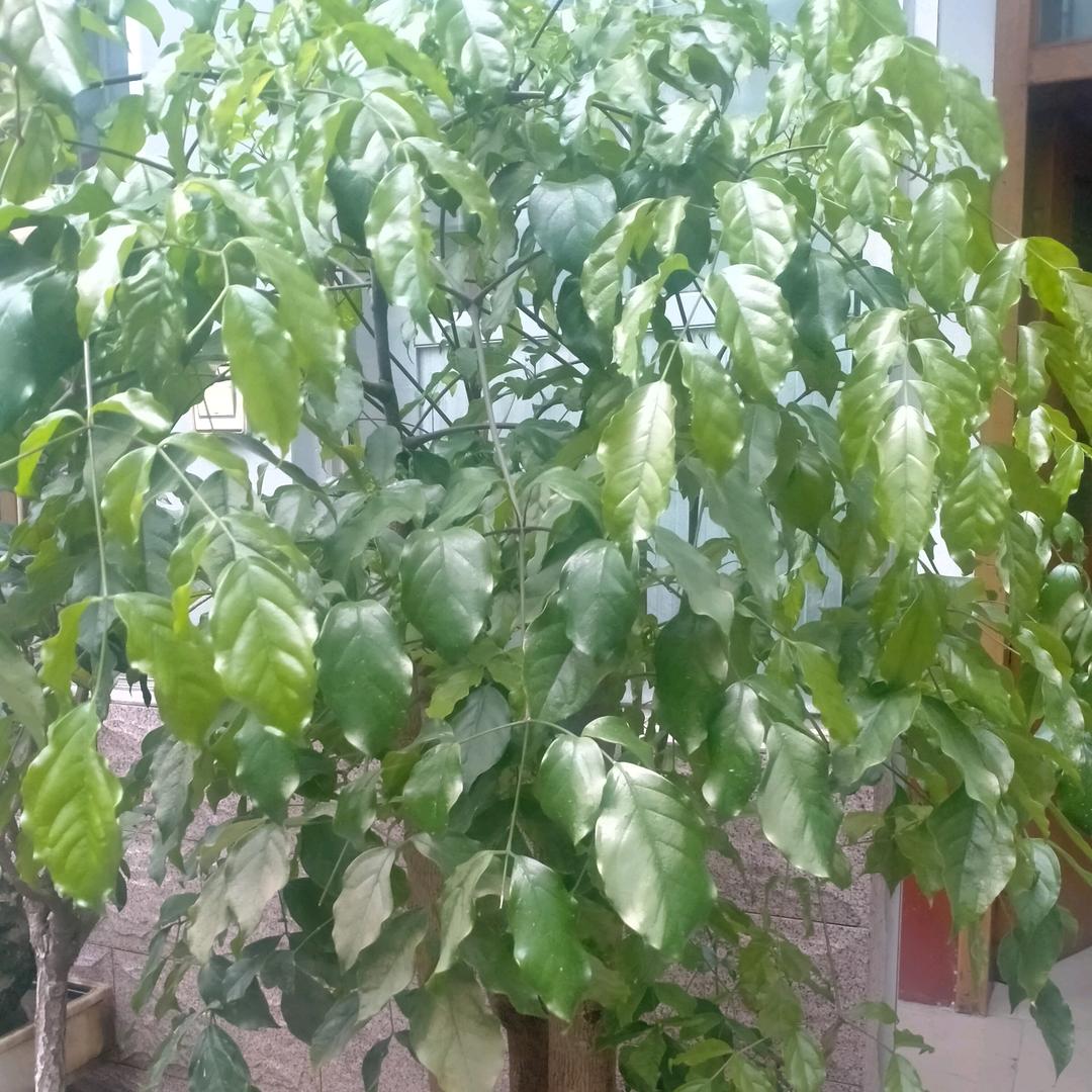 分享生活聊生活