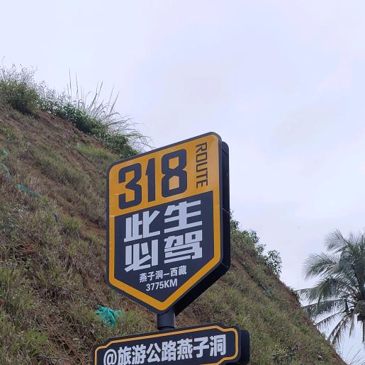 真情永在