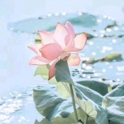 雪花