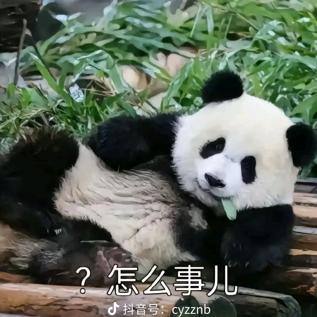 立志做欧皇