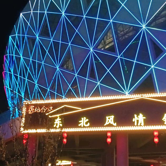 东北风情铁锅炖(体育场店)L