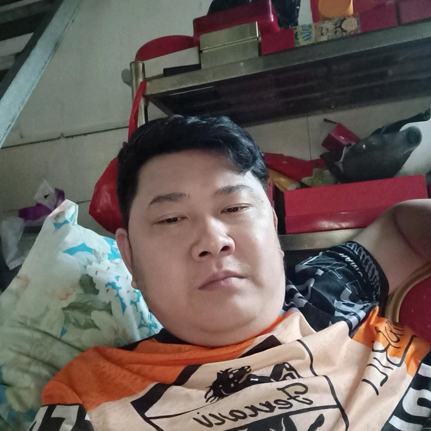 阳光之龙