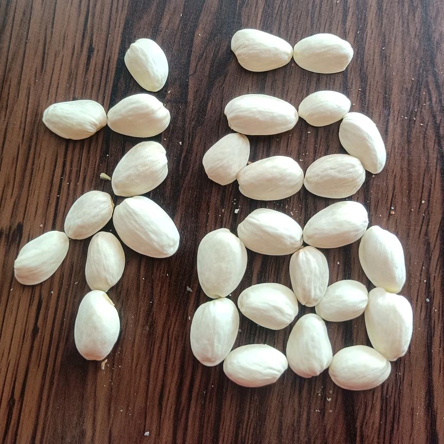 🥀ꦿ꯭幸运ꦿ꯭🌿相随🍓