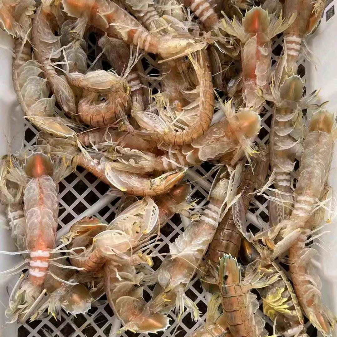 北海-海鲜电建码头