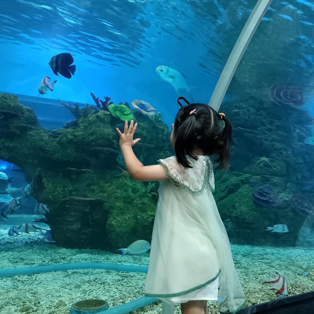 小哥哥