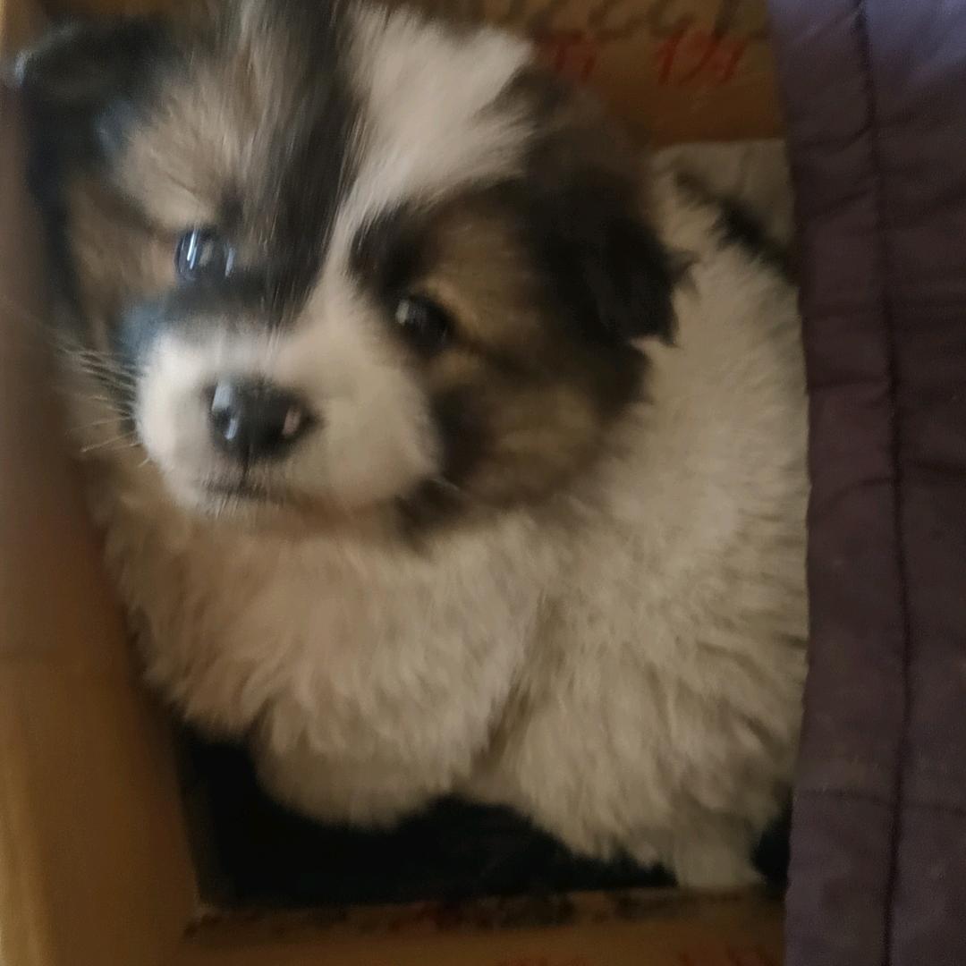 ㊗餘生《》隨心＄