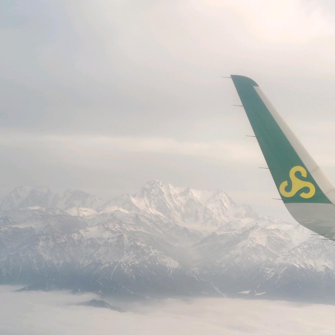 醉后表演艺术家