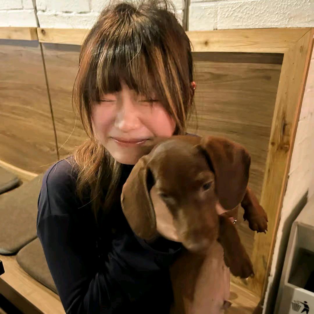 l悲伤芒果🐾