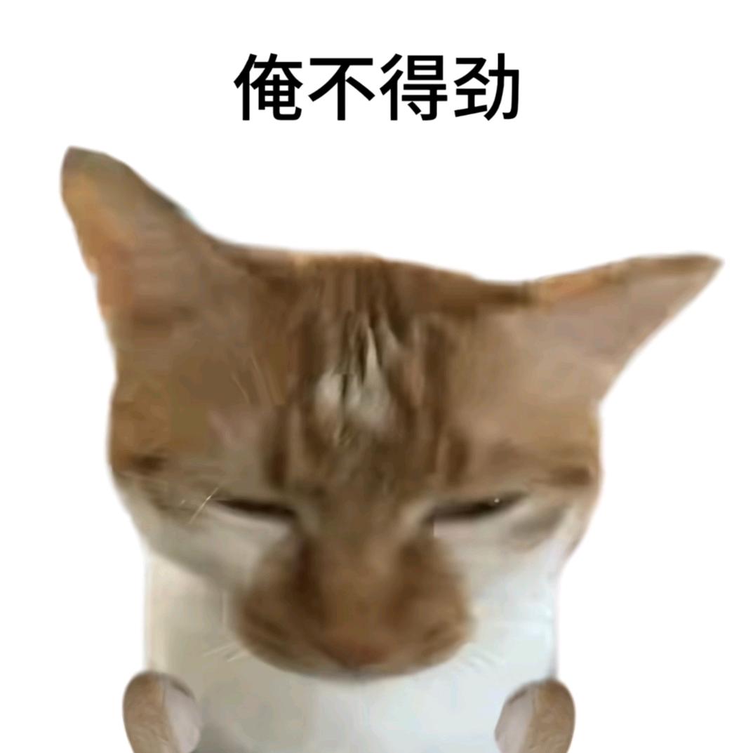 向阳