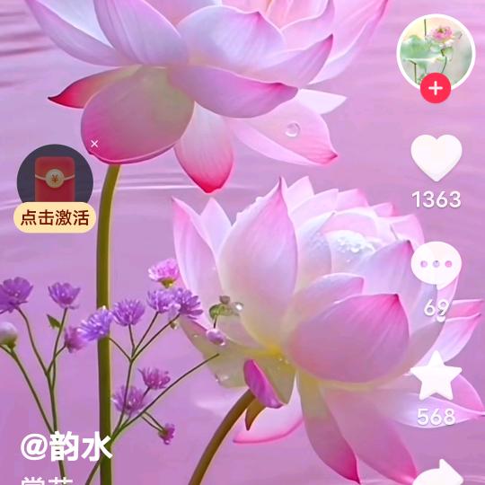 梅子.