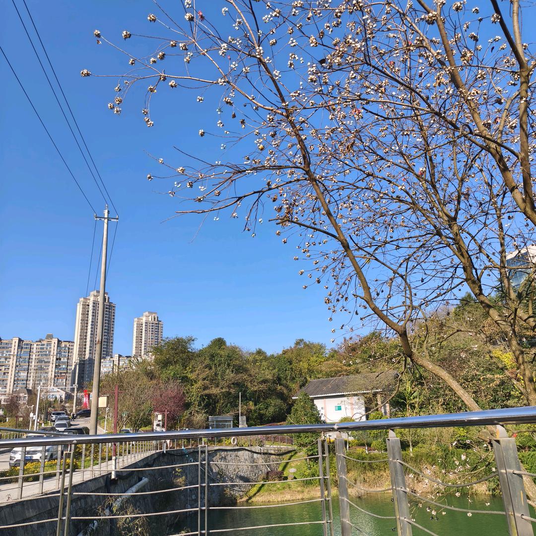 茜茜不嬉嬉