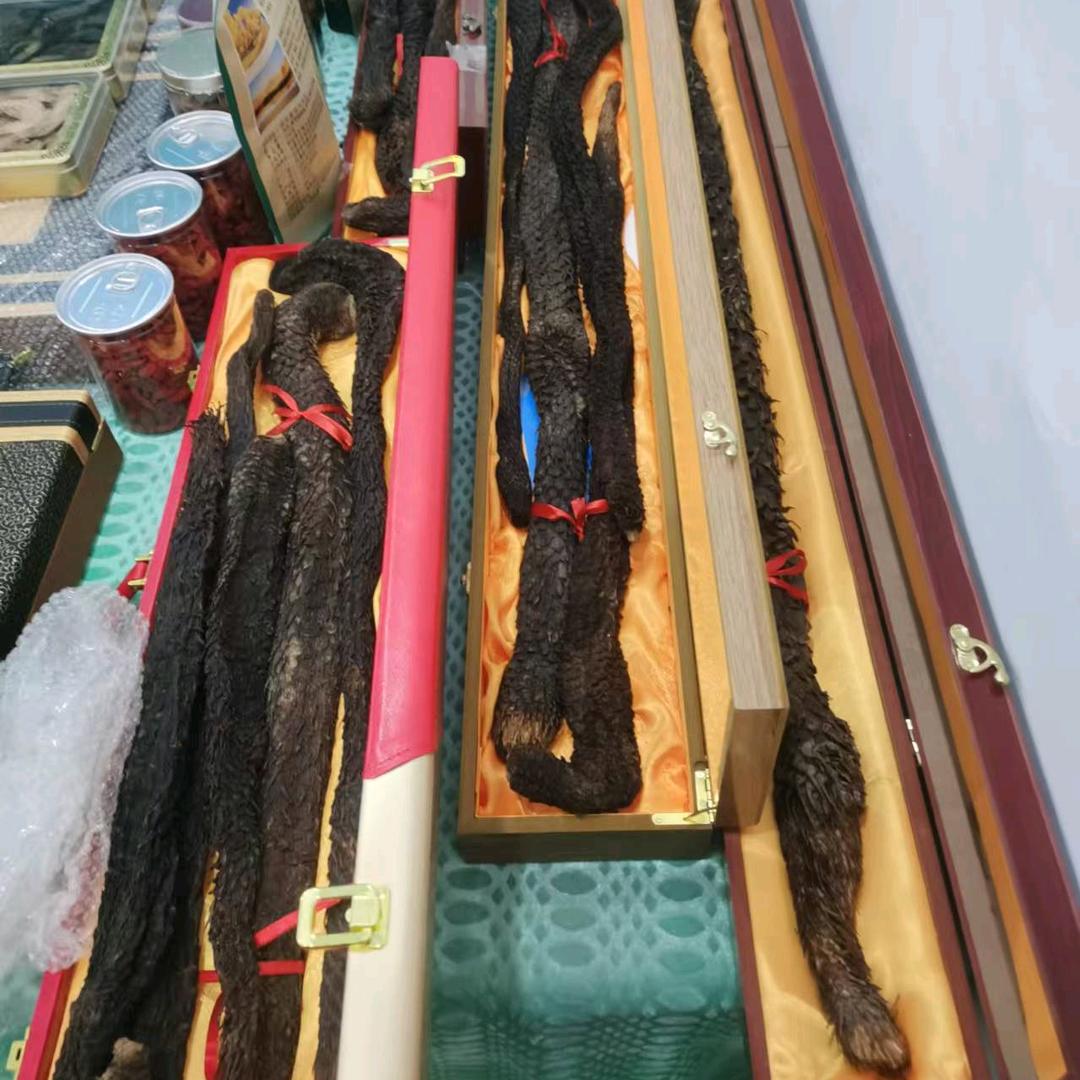 阿拉善臻品苁蓉