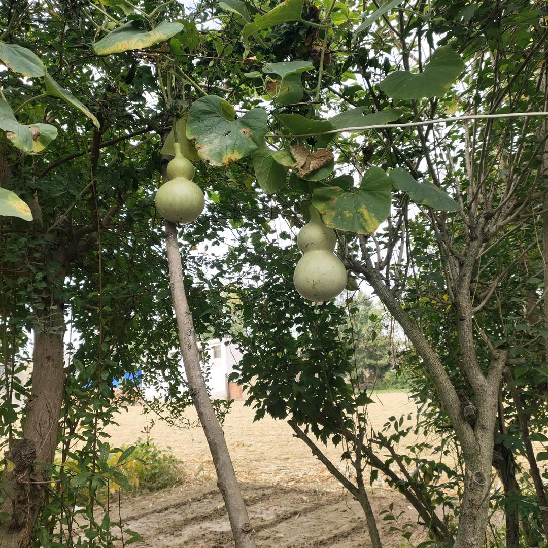 滁州专业拆除，工装拆除，家装拆除，回收门