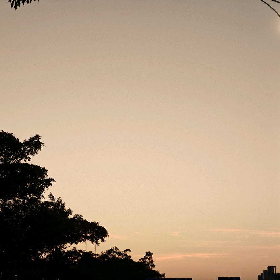 闻