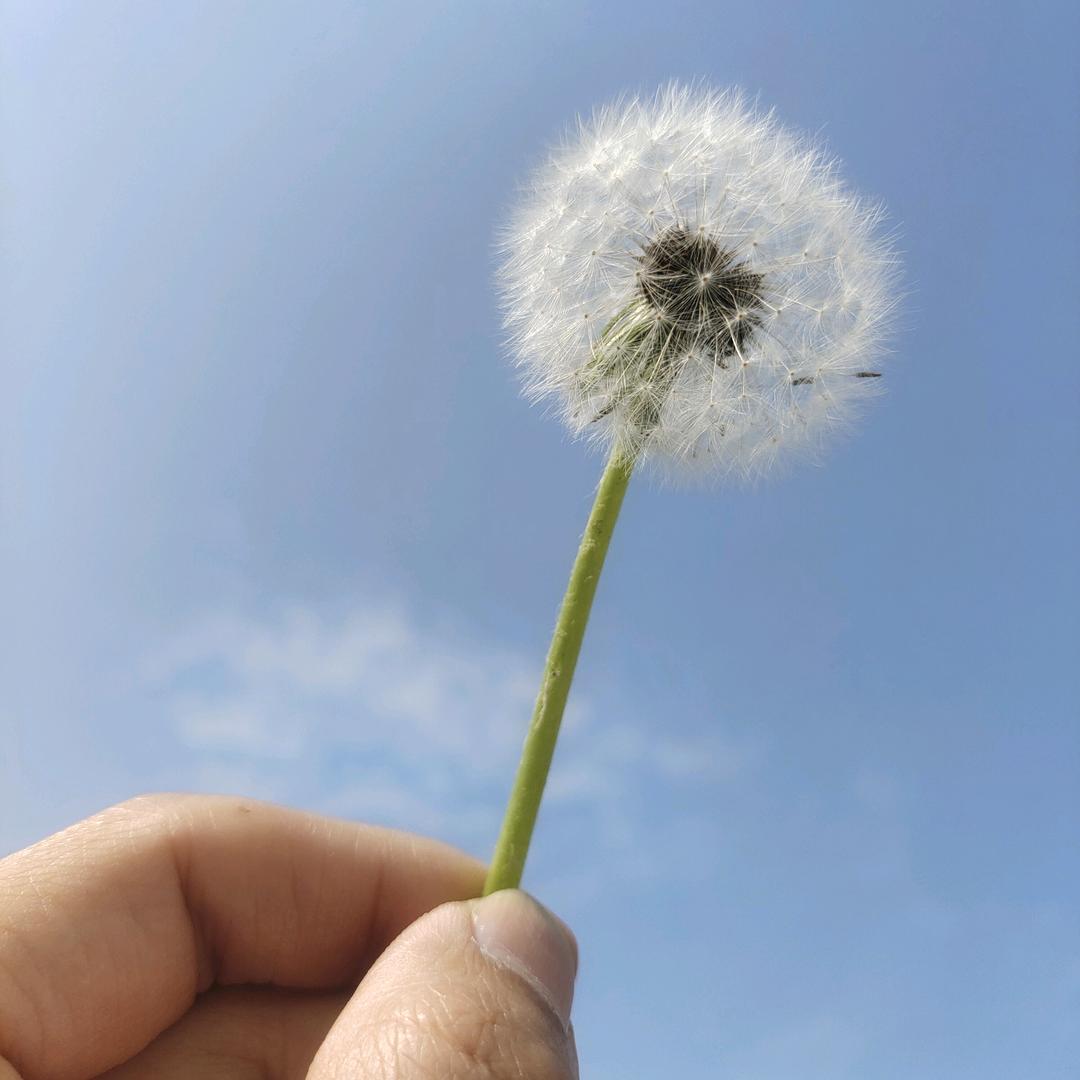 西安三桥台球器材