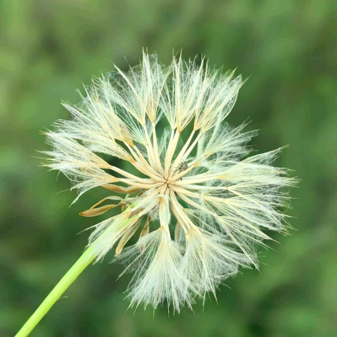 荣恩堂养生馆官方号