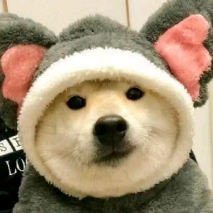 小淦没烦恼🇨🇳