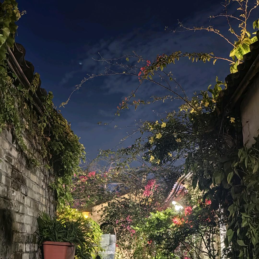 陈宝