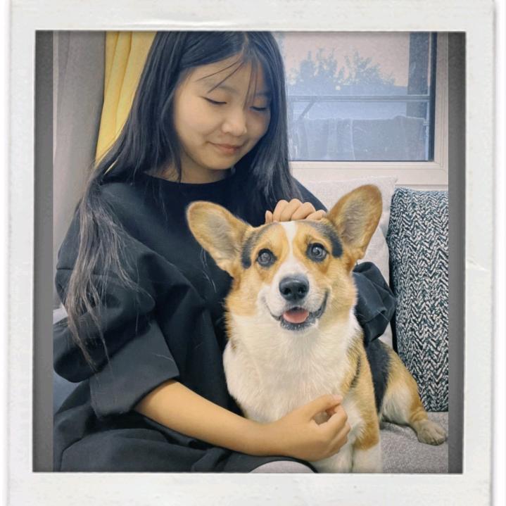 小花仙（13点直播）