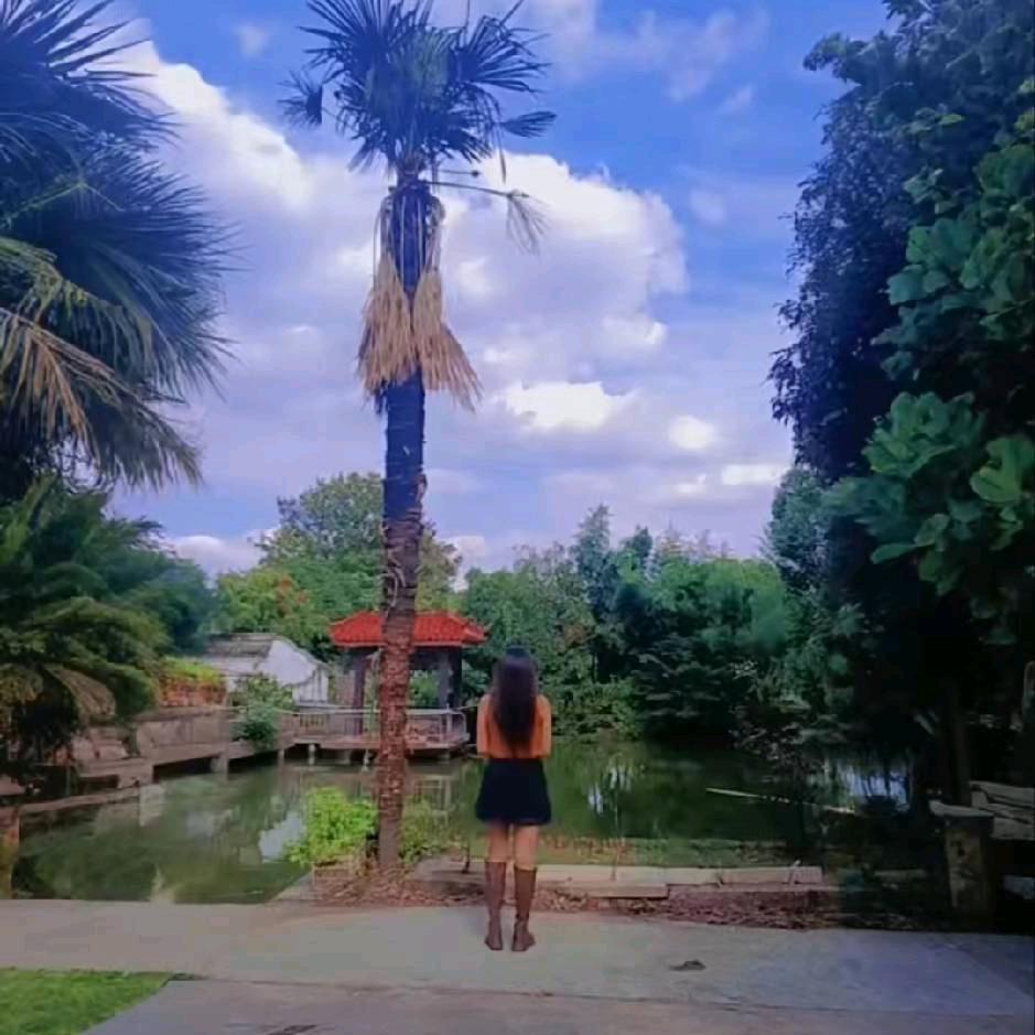 小薇（砥砺前行）