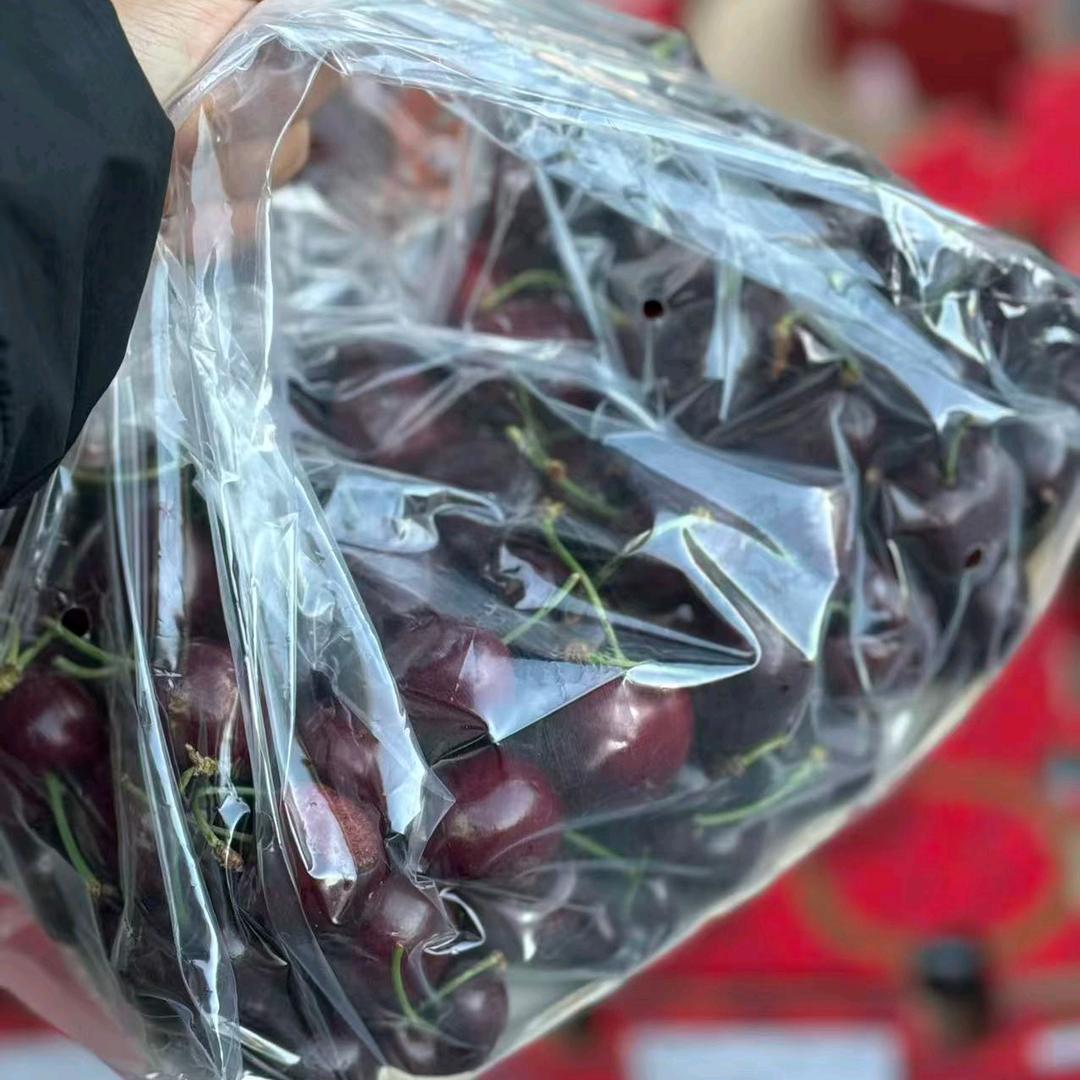 郑州白沙🍒车厘子批发零售🍒