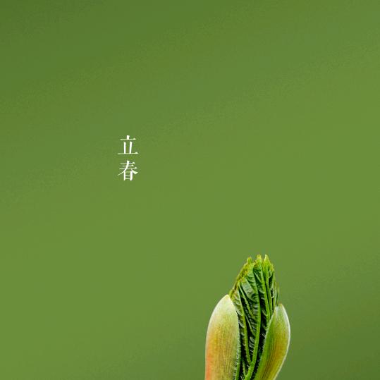 百合008