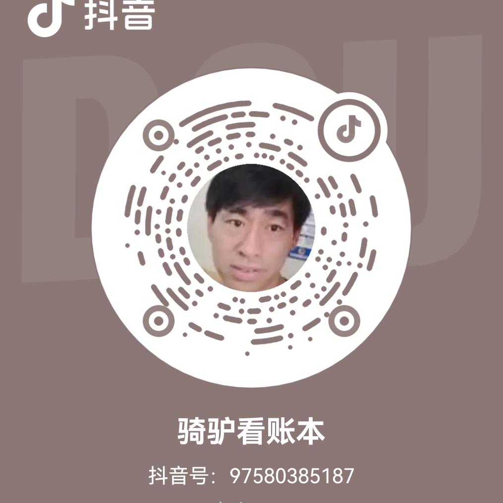 骑驴看账本
