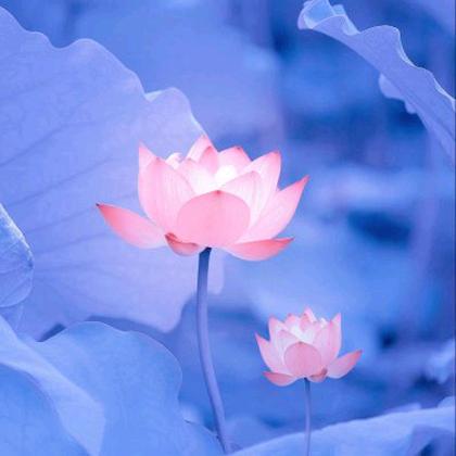 🔥陌陌🔥《韵熙》