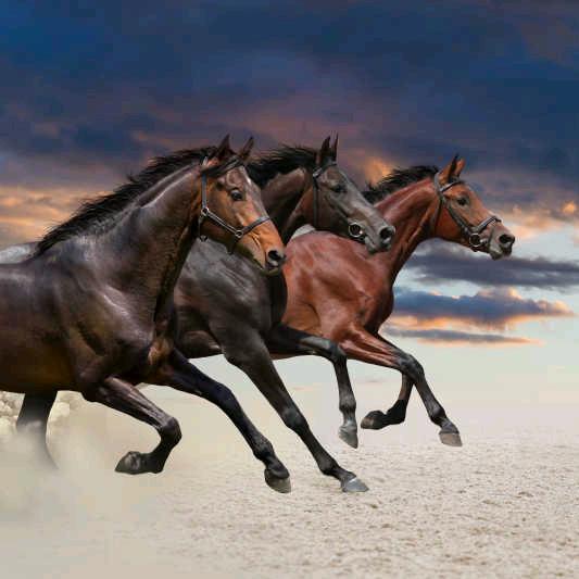 井下佳和生鲜超市