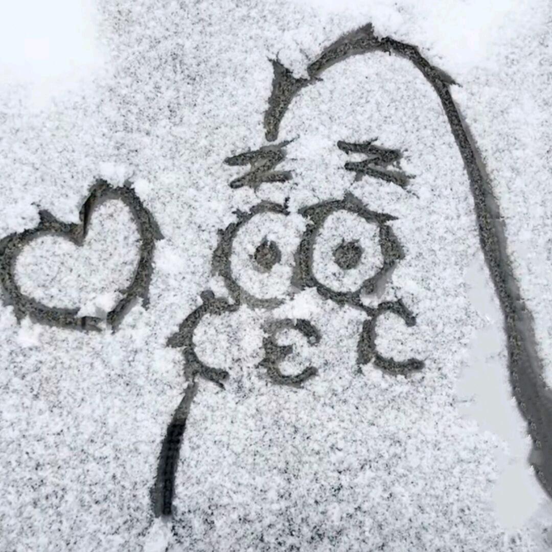 小小石