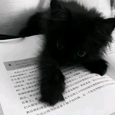 人间苦瓜