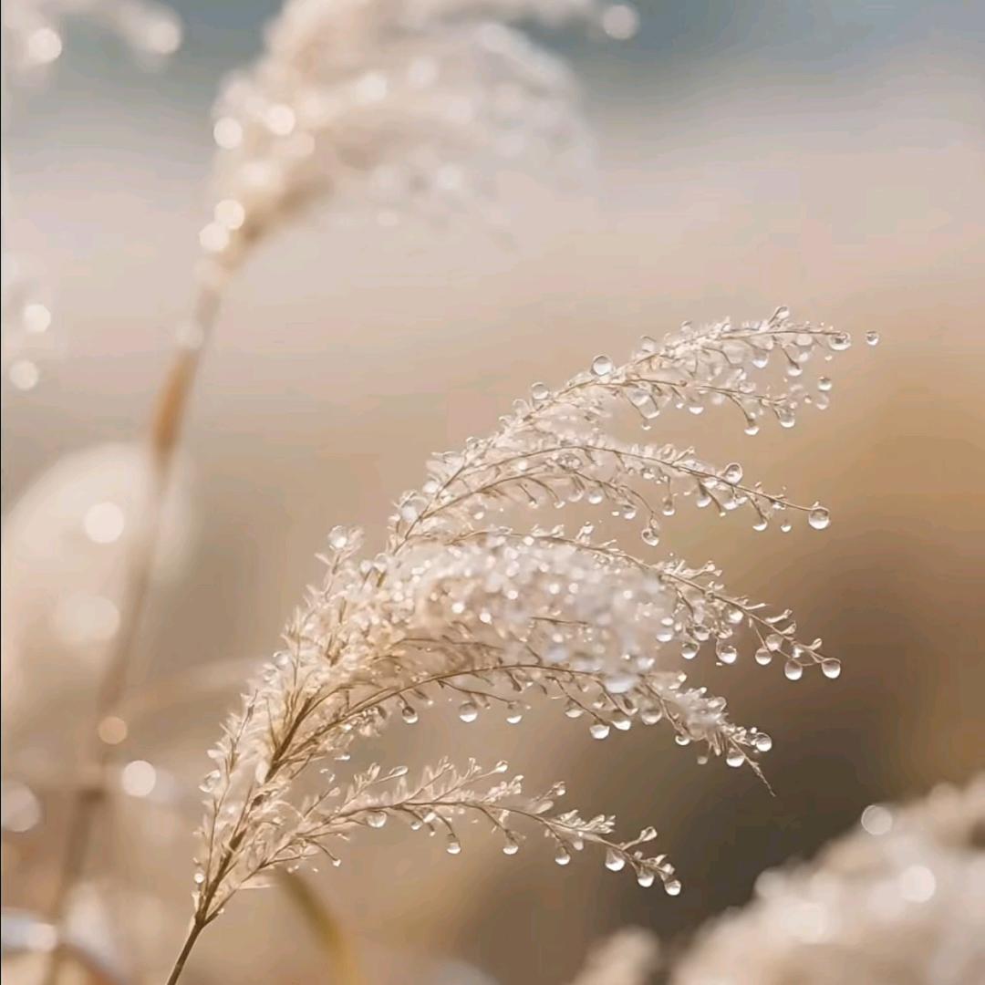 w_pk俱樂部 (双川品汇生活号）