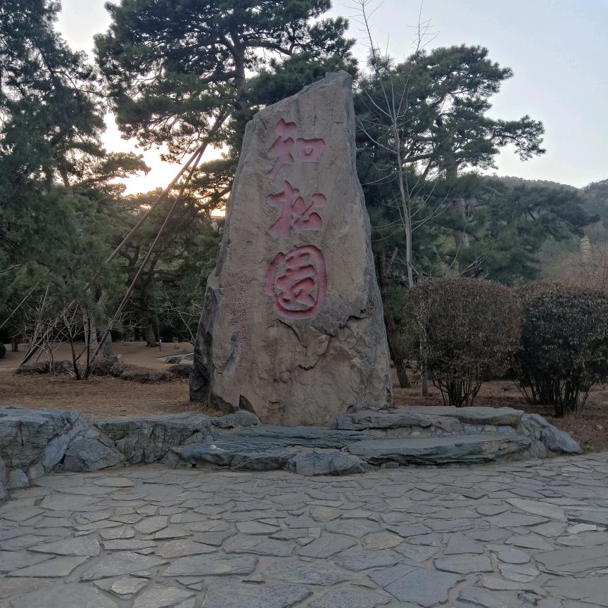 北京君诚国际旅行社有限公司