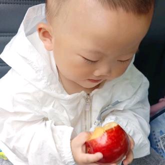 🐲多年以，后＆，，，