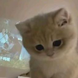 小代也是代（包诚信➕便宜）