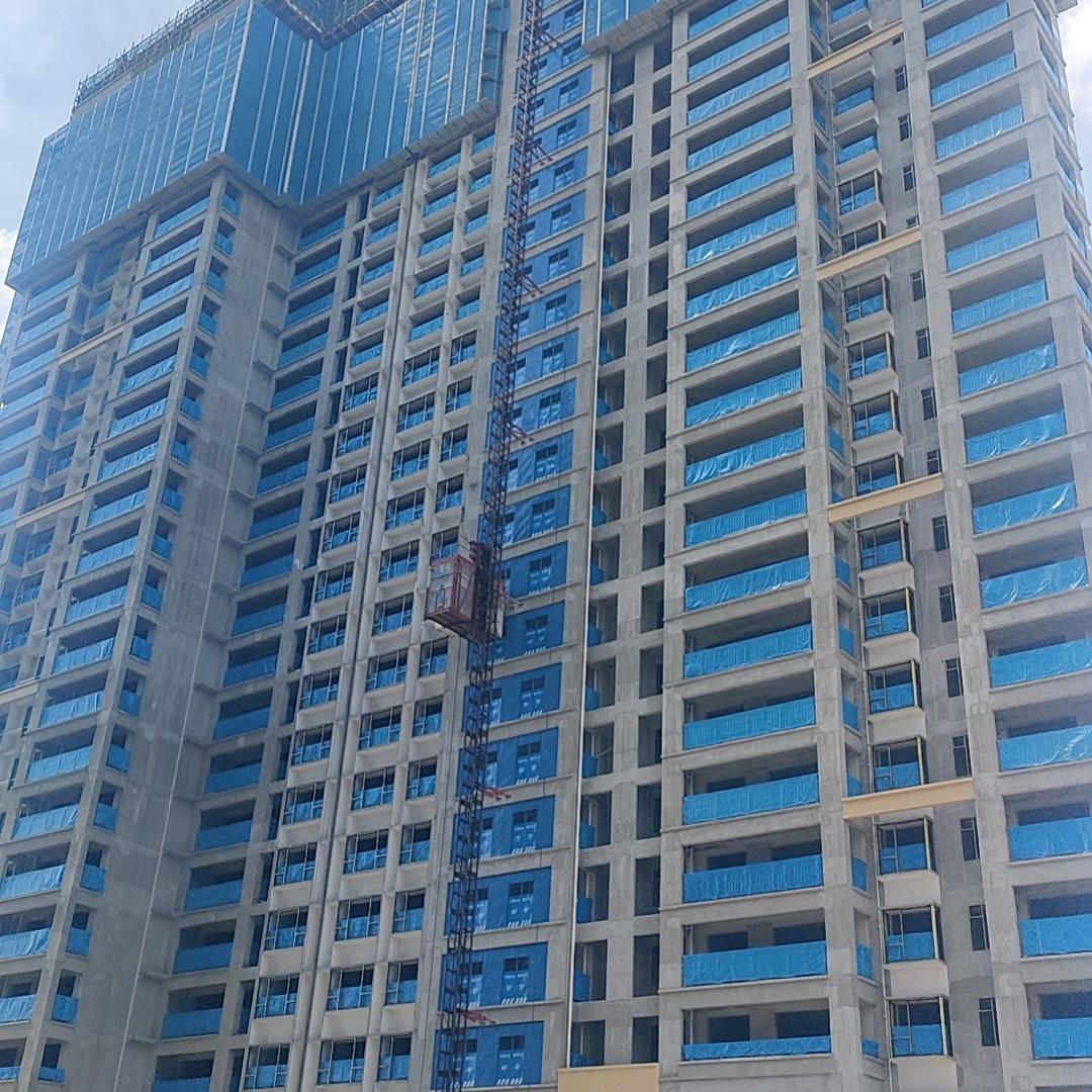 小谢总