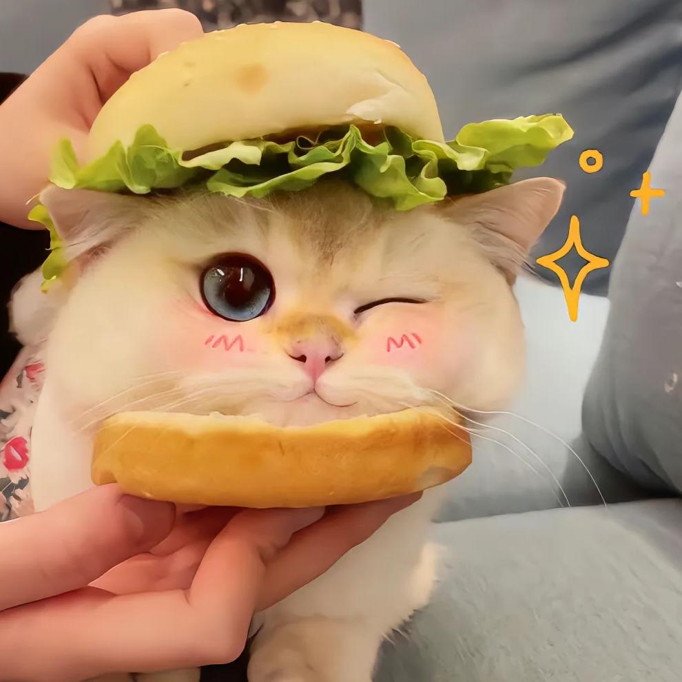 ✨ 幸运星儿 ✨