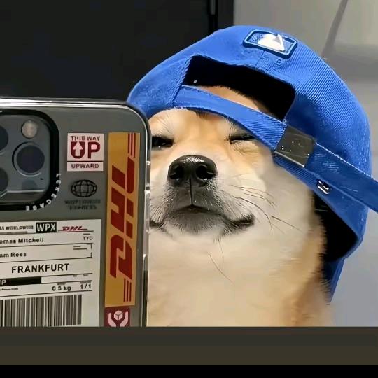 cfs小阿陳（裸装）