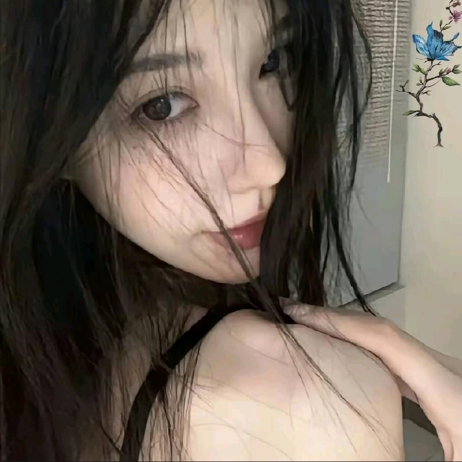 莫恩没有鸽