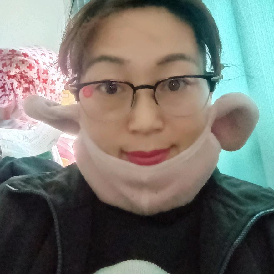 自由的飞