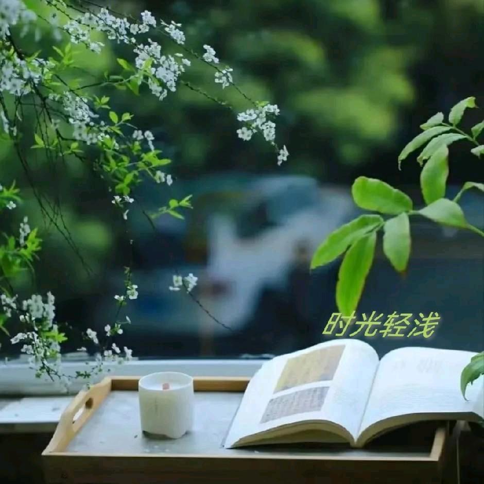 时光轻浅，处之淡然