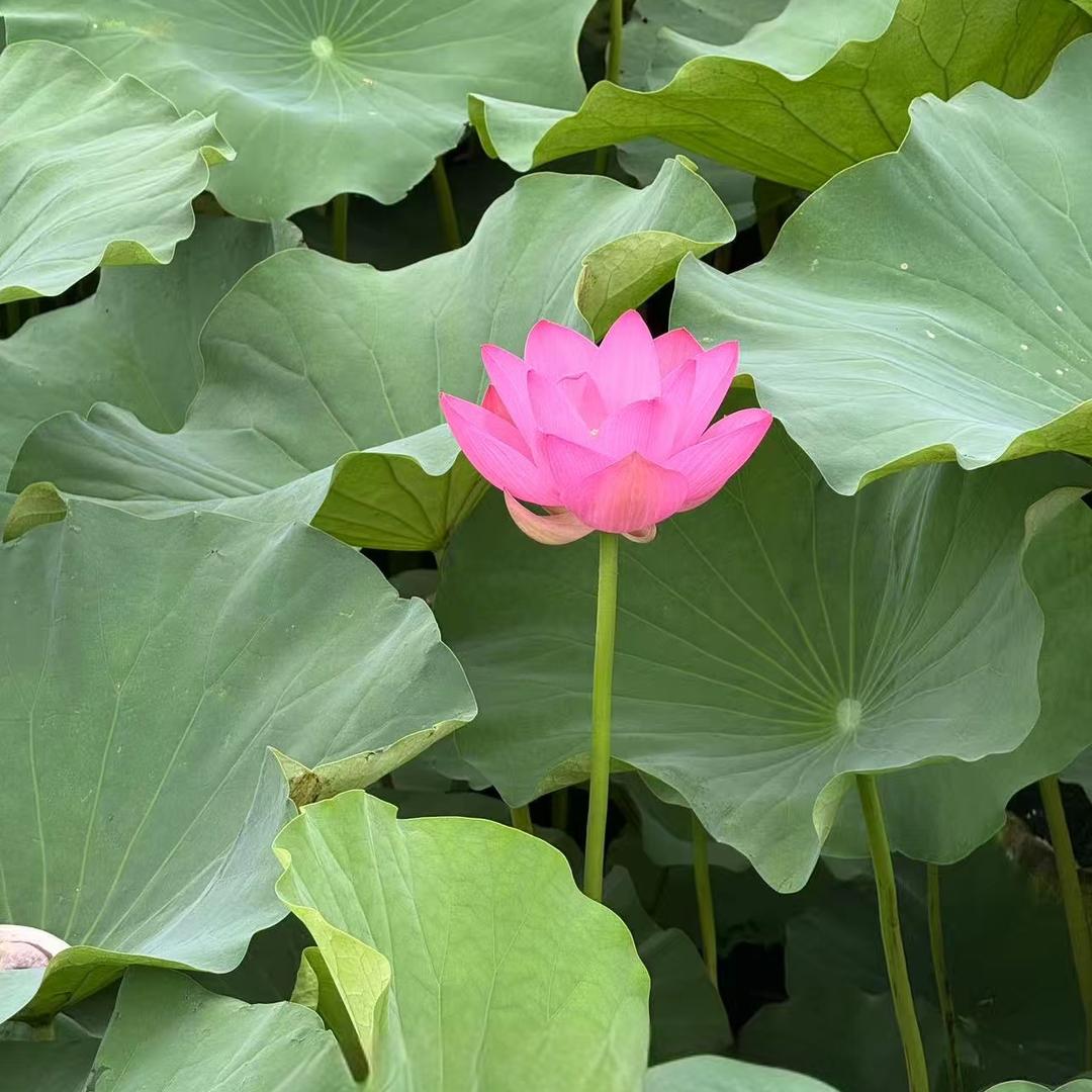 山西聚盛鑫工程有限公司