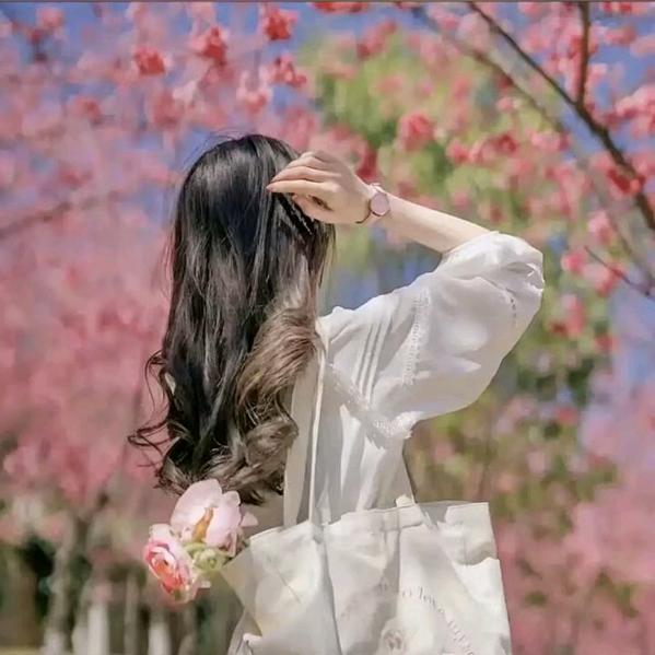 🦋꧁💞归零💞᭄᪲꧂🦋